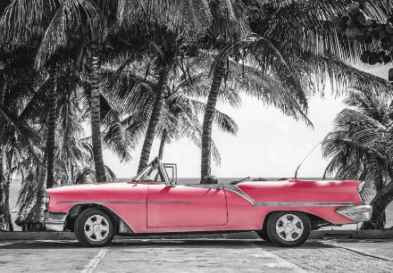 Obrazek Transport i komunikacja Samochód Havana Miami Kuba Chevrolet