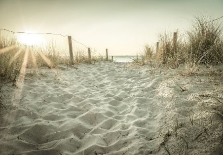 Obrazek Natura Plaża Wydmy Piasek Zachód Słońca Trawa