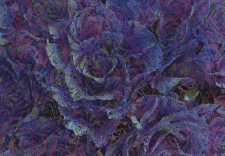 Obrazek Natura Kwiaty Fioletowe Ornamenty Róże