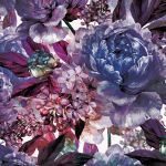 Obrazek 13530 - Violette Blumen