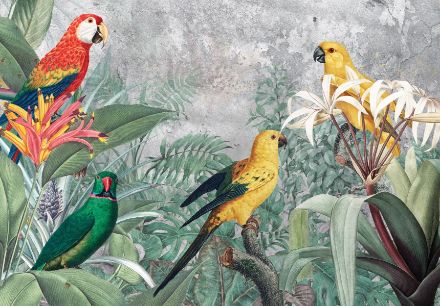 Obrazek Natura Liście Egzotyczne Papugi Beton