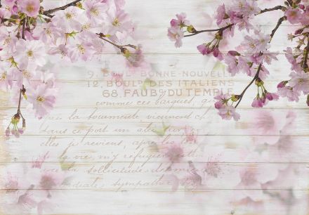 Obrazek Natura Kwiaty Wiśni Drewniane Deski