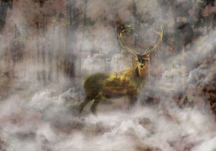 Obrazek Natura Las Jeleń Mgła Jesień