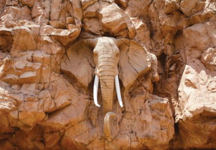 Obrazek Zwierzęta Słoń Skała Afryka Natura
