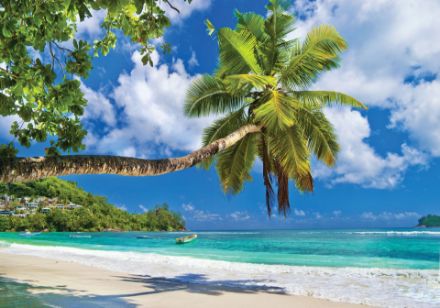 Obrazek Krajobraz Plaża Wyspa Morze Palmy