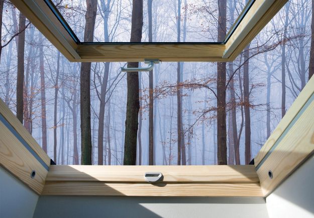 Obrazek 10412 - Blick aus dem Fenster auf den Wald im Nebel