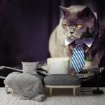 Obrazek 10397 - Geschäftsmann mit schwarzer Katze