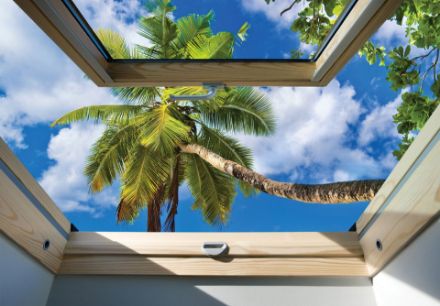 Obrazek 3D Okno Dachowe Krajobraz Palma