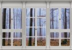 Obrazek 10648 - Blick aus dem Fenster auf den nebligen Wald