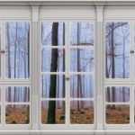 Obrazek 10648 - Blick aus dem Fenster auf den nebligen Wald