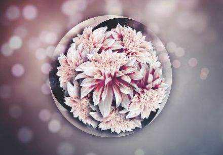 Obrazek Abstrakcja 3D Kwiaty Okrąg Bokeh