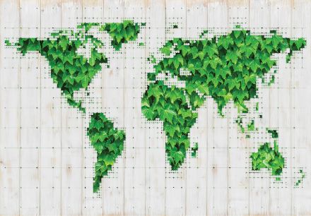 Obrazek Mapa Świata Beton Bluszcz Abstrakcja