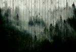 Obrazek 13552 - Ein Wald im Nebel