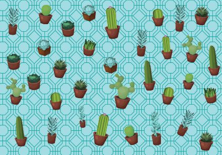 Obrazek 11076 - Kaktus