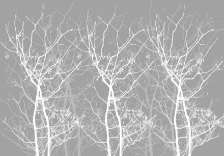 Obrazek Minimalizm Natura Drzewa Ptaki Szary