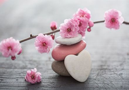 Obrazek Natura Kwiaty Różowe Kamienie Serce