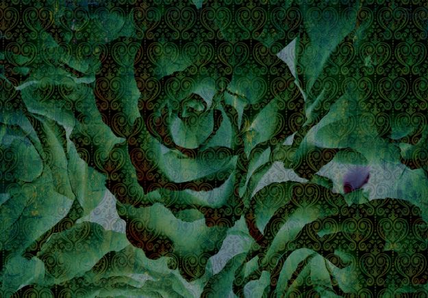 Obrazek 13502 - Grüne Rose