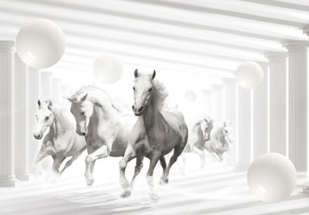 Obrazek Zwierzęta Konie Abstrakcja 3D Tunel
