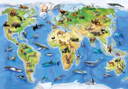 Obrazek Mapa Świata Zwierzęta Atlas Geografia