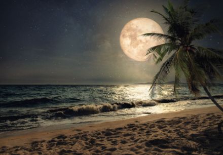 Obrazek 13999 - Krajobraz Plaża Pełnia Księżyca Morze 