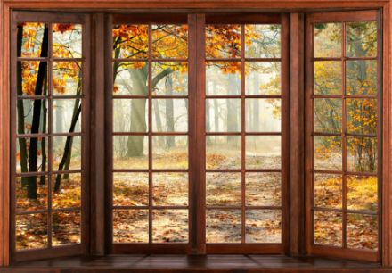 Obrazek 14129 - 3D Przestrzenne Okno Taras Jesienny Widok