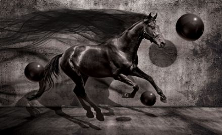 Obrazek 3137 - Czarny koń 