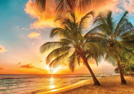 Obrazek Krajobraz Plaża Morze Palmy Słońce