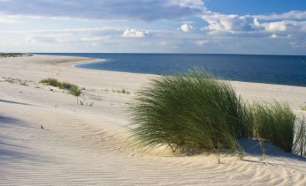 Obrazek Krajobraz Plaża Niebo Chmury Morze