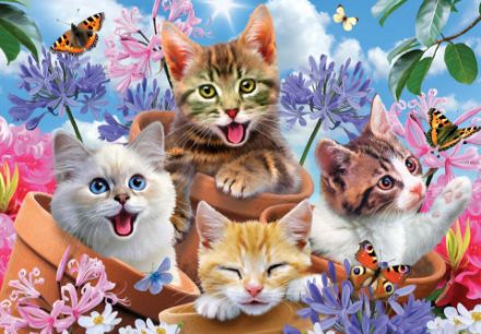 Obrazek Dla Dzieci Zwierzęta Koty Słodkie Kotki