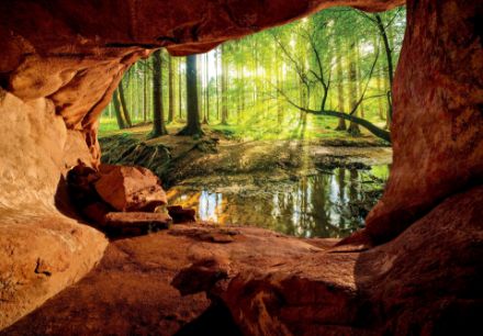 Obrazek 14219 - 3D Dziura Jaskinia Widok na Las