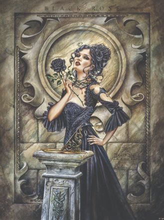 Obrazek 13245 - Alchemy Gotyk Vintage Black Rose