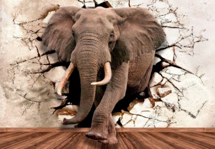 Obrazek 14437 - 3D ściana słoń imitacja