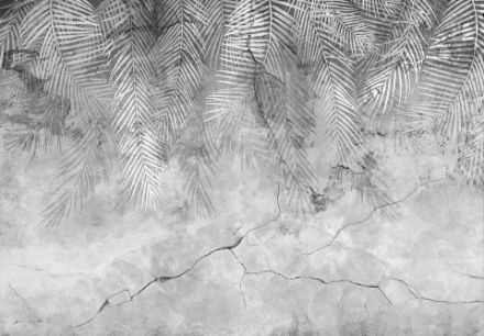 Obrazek 14514 - Struktura beton liście palmy