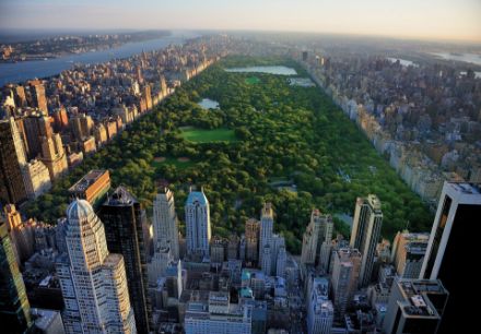 Obrazek 14616 - Nowy Jork Central Park